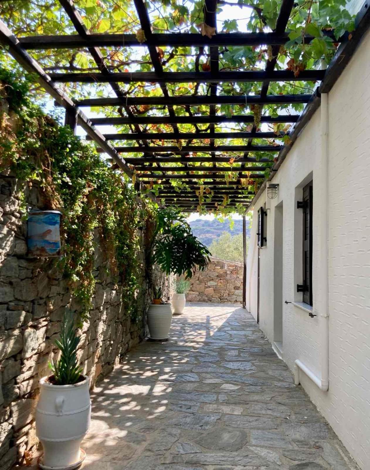 Syrou Lotos Studios & Apartments (Adults Only) Kini Pokoj fotografie